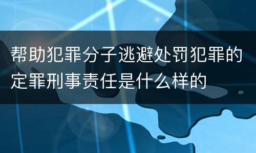 帮助犯罪分子逃避处罚犯罪的定罪刑事责任是什么样的