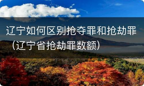 辽宁如何区别抢夺罪和抢劫罪（辽宁省抢劫罪数额）
