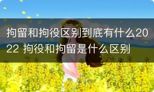 拘留和拘役区别到底有什么2022 拘役和拘留是什么区别