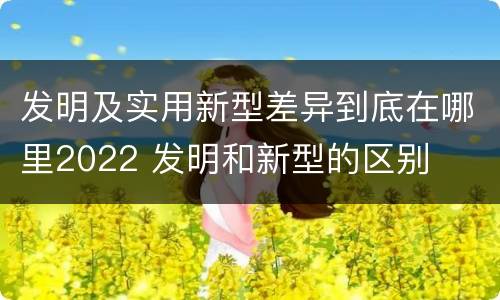 发明及实用新型差异到底在哪里2022 发明和新型的区别