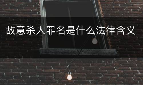 故意杀人罪名是什么法律含义
