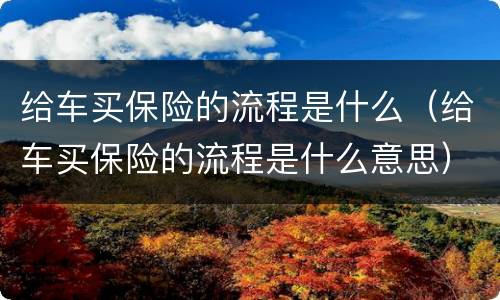 给车买保险的流程是什么（给车买保险的流程是什么意思）