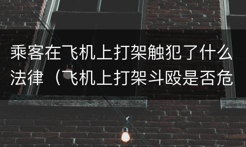 乘客在飞机上打架触犯了什么法律（飞机上打架斗殴是否危害航空安全）