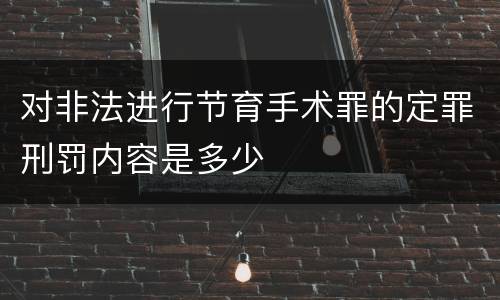 对非法进行节育手术罪的定罪刑罚内容是多少
