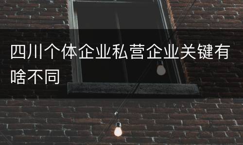 四川个体企业私营企业关键有啥不同