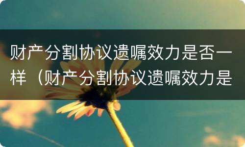 财产分割协议遗嘱效力是否一样（财产分割协议遗嘱效力是否一样呢）