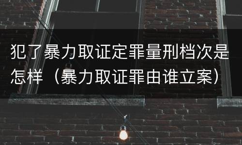 犯了暴力取证定罪量刑档次是怎样（暴力取证罪由谁立案）