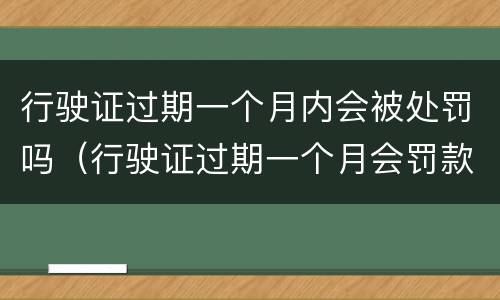 行驶证过期一个月内会被处罚吗（行驶证过期一个月会罚款吗）