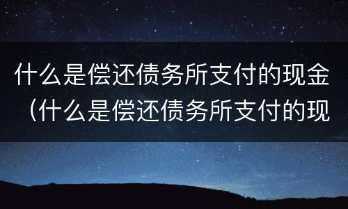 什么是偿还债务所支付的现金（什么是偿还债务所支付的现金价值）