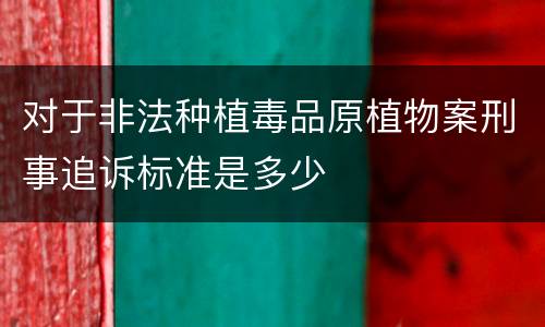 对于非法种植毒品原植物案刑事追诉标准是多少