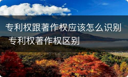 专利权跟著作权应该怎么识别 专利权著作权区别
