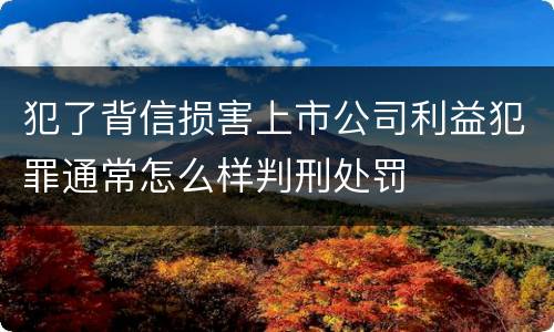 犯了背信损害上市公司利益犯罪通常怎么样判刑处罚