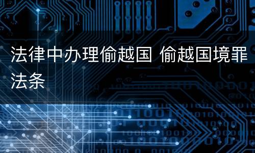 法律中办理偷越国 偷越国境罪法条