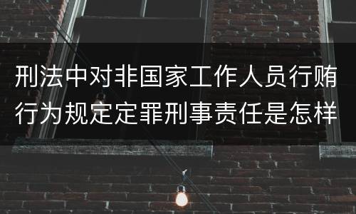 刑法中对非国家工作人员行贿行为规定定罪刑事责任是怎样