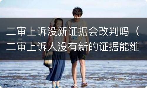二审上诉没新证据会改判吗（二审上诉人没有新的证据能维持原判吗）