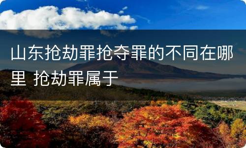 山东抢劫罪抢夺罪的不同在哪里 抢劫罪属于