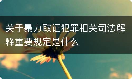 关于暴力取证犯罪相关司法解释重要规定是什么
