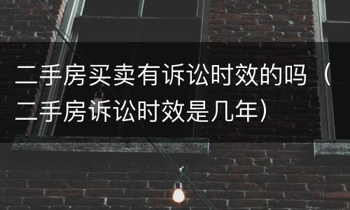 二手房买卖有诉讼时效的吗（二手房诉讼时效是几年）