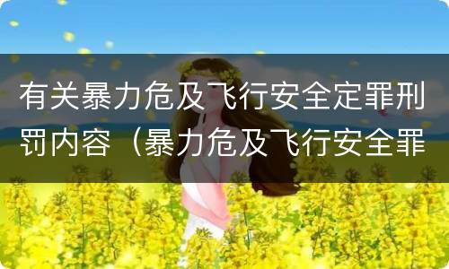 有关暴力危及飞行安全定罪刑罚内容（暴力危及飞行安全罪的构成要件）