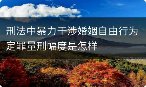 刑法中暴力干涉婚姻自由行为定罪量刑幅度是怎样
