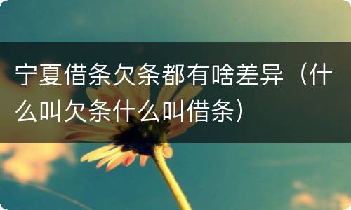 宁夏借条欠条都有啥差异（什么叫欠条什么叫借条）