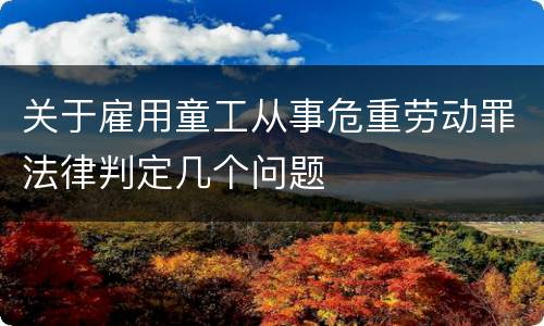 关于雇用童工从事危重劳动罪法律判定几个问题