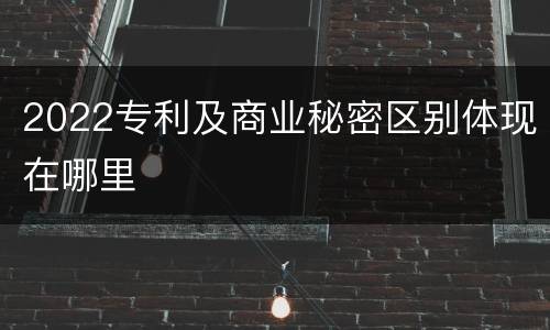 2022专利及商业秘密区别体现在哪里