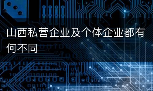 山西私营企业及个体企业都有何不同