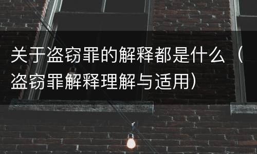 关于盗窃罪的解释都是什么（盗窃罪解释理解与适用）