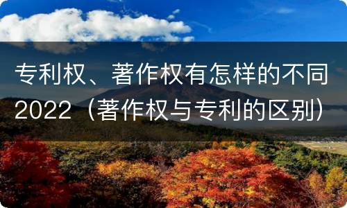 专利权、著作权有怎样的不同2022（著作权与专利的区别）