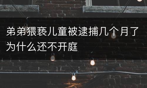 弟弟猥亵儿童被逮捕几个月了为什么还不开庭