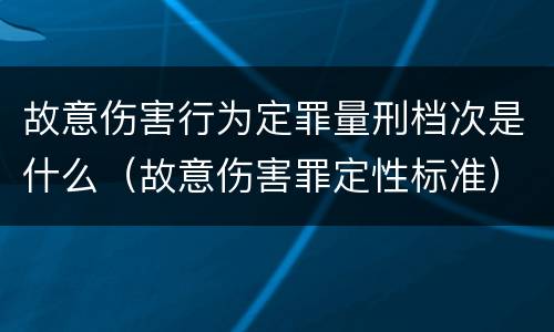 故意伤害行为定罪量刑档次是什么（故意伤害罪定性标准）
