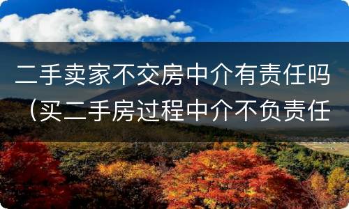 二手卖家不交房中介有责任吗（买二手房过程中介不负责任怎么办）