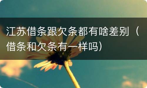 江苏借条跟欠条都有啥差别（借条和欠条有一样吗）