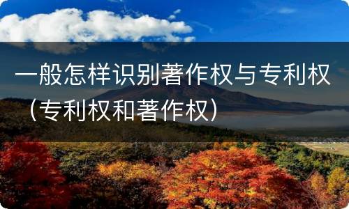 一般怎样识别著作权与专利权（专利权和著作权）