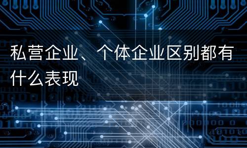 私营企业、个体企业区别都有什么表现