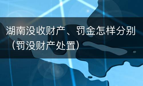 湖南没收财产、罚金怎样分别（罚没财产处置）