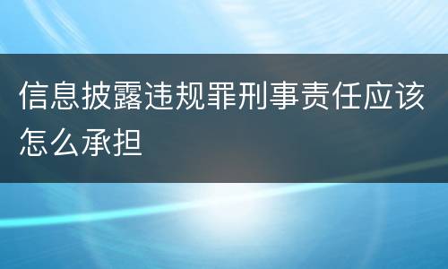 信息披露违规罪刑事责任应该怎么承担