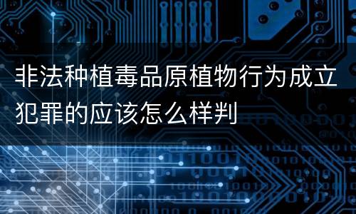 非法种植毒品原植物行为成立犯罪的应该怎么样判