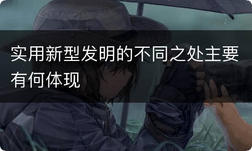 实用新型发明的不同之处主要有何体现
