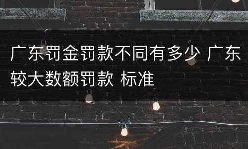 广东罚金罚款不同有多少 广东较大数额罚款 标准