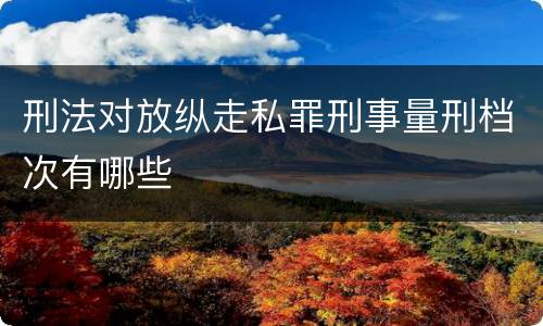 刑法对放纵走私罪刑事量刑档次有哪些