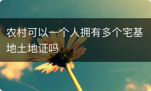 农村可以一个人拥有多个宅基地土地证吗
