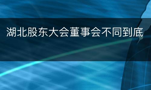 湖北股东大会董事会不同到底