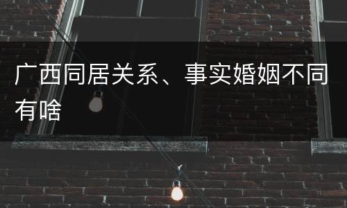 广西同居关系、事实婚姻不同有啥