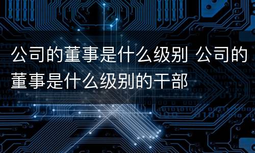 公司的董事是什么级别 公司的董事是什么级别的干部