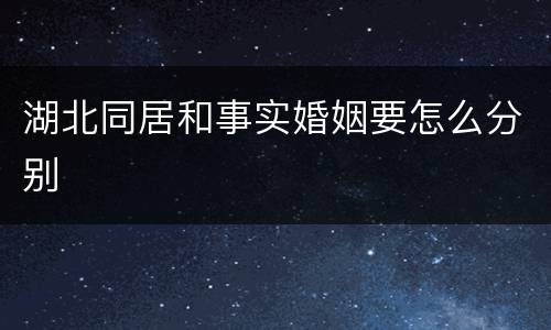 湖北同居和事实婚姻要怎么分别