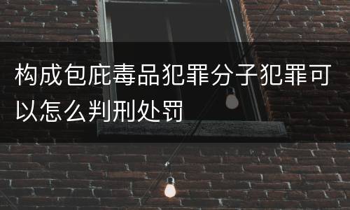 构成包庇毒品犯罪分子犯罪可以怎么判刑处罚