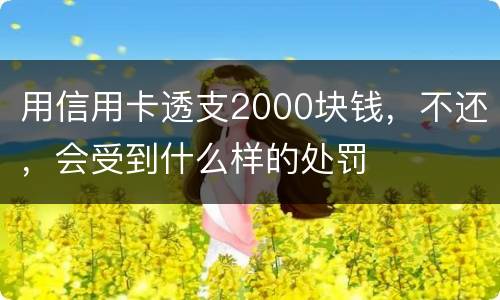用信用卡透支2000块钱，不还，会受到什么样的处罚