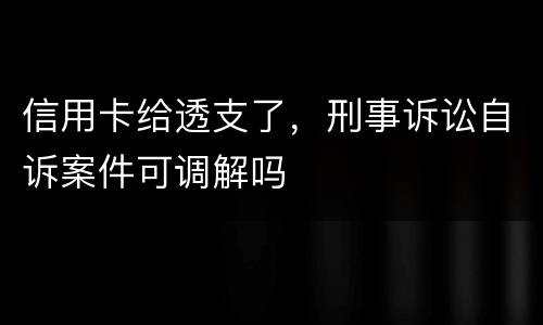信用卡给透支了，刑事诉讼自诉案件可调解吗